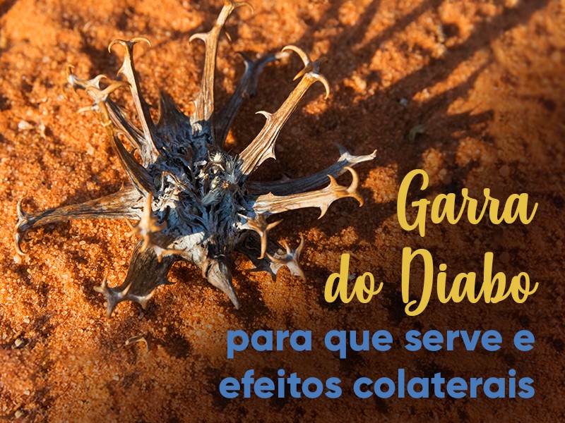 Garra do Diabo: para que serve e efeitos colaterais